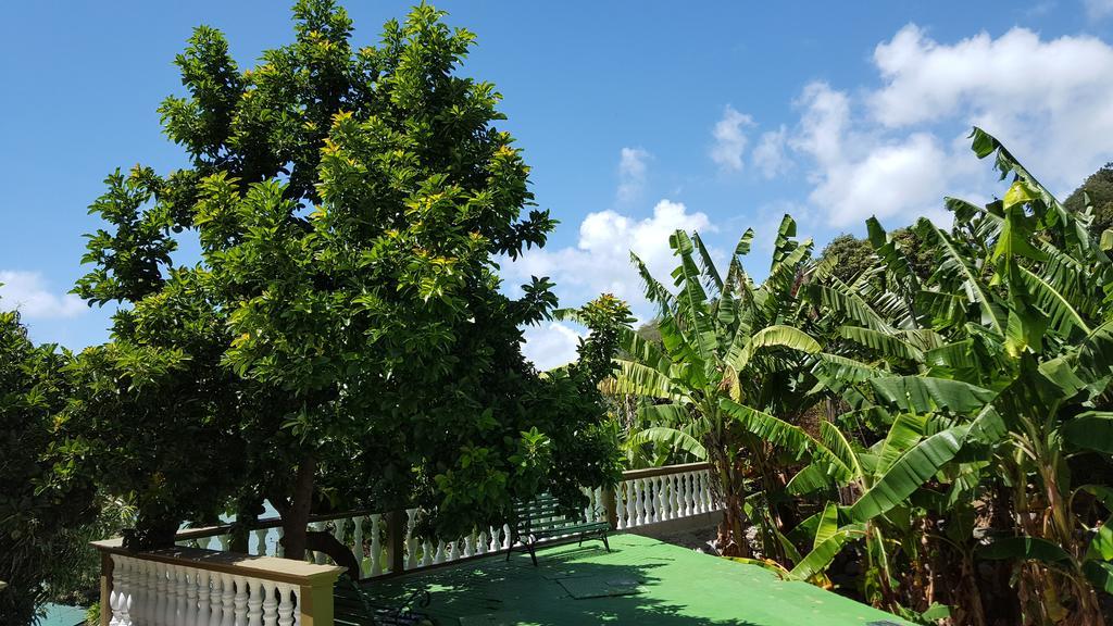 Hibiscus House Seychelles Self Catering Apartment วิกตอเรีย ภายนอก รูปภาพ